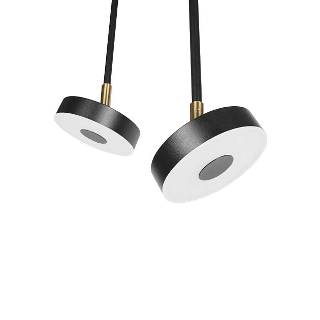 Потолочный светильник LOFT IT Flock 10189/1000 изображение 2 Потолочный светильник LOFT IT Flock 10189/1000 Фото № 2
