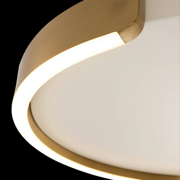 Потолочный светодиодный светильник Loft IT Ring 10026 изображение 2 Потолочный светодиодный светильник Loft IT Ring 10026 Фото № 2