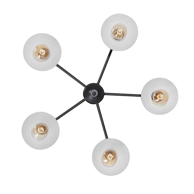 Потолочная люстра Vitaluce V4805-1/5PL изображение 2 Потолочная люстра Vitaluce V4805-1/5PL Фото № 2