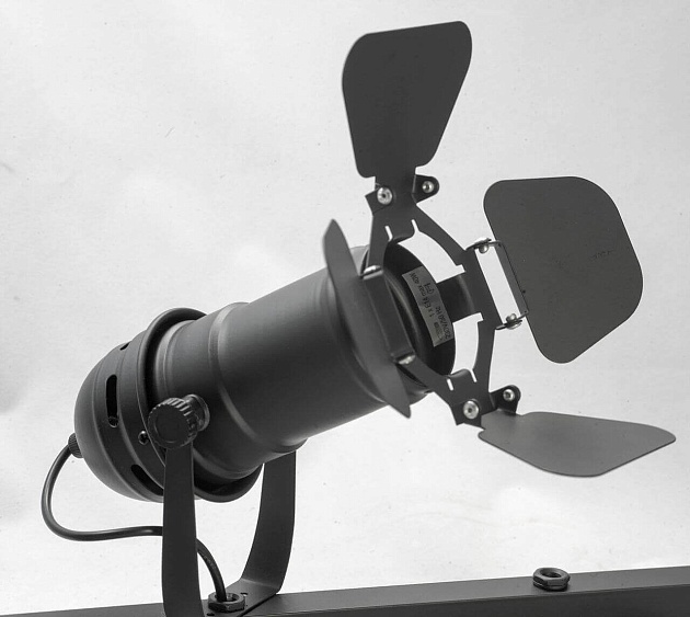 Спот Lussole Loft LSP-8076 изображение 3 Спот Lussole Loft LSP-8076 Фото № 3