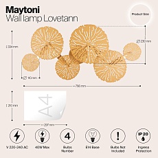 Настенный светильник Maytoni Lovetann MOD082WL-04G 1