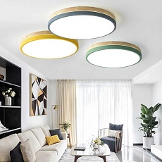 Потолочный светильник Imperium Loft Disc Dh D27 Green 189893-26 5