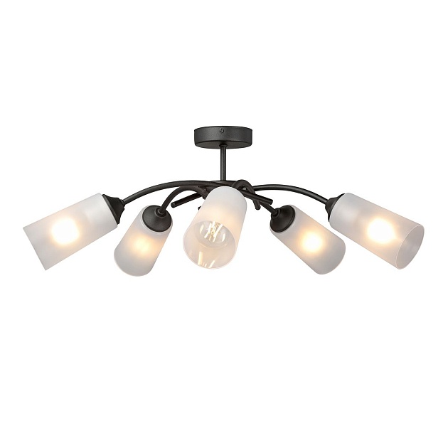 Потолочная люстра Vitaluce V2850-1/5PL изображение 4 Потолочная люстра Vitaluce V2850-1/5PL Фото № 4