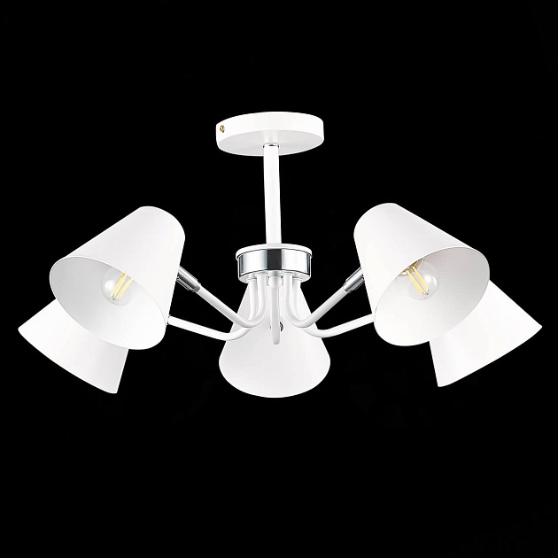 Потолочная люстра Evoluce Lere SLE106702-05 Фото № 3