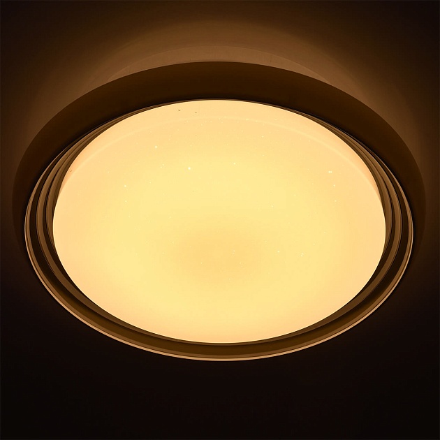 Потолочный светодиодный светильник De Markt Ривз 674011901 фото 4