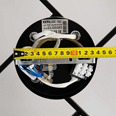 Потолочная люстра Citilux Джером CL129285 1
