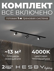 Встраиваемая однофазная трековая система Hesby Lighting Skylite №3 со светильниками HSBL_kompl_S003_VI1B4K