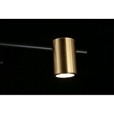 Потолочная люстра Aployt Elwisia APL.633.07.08 5