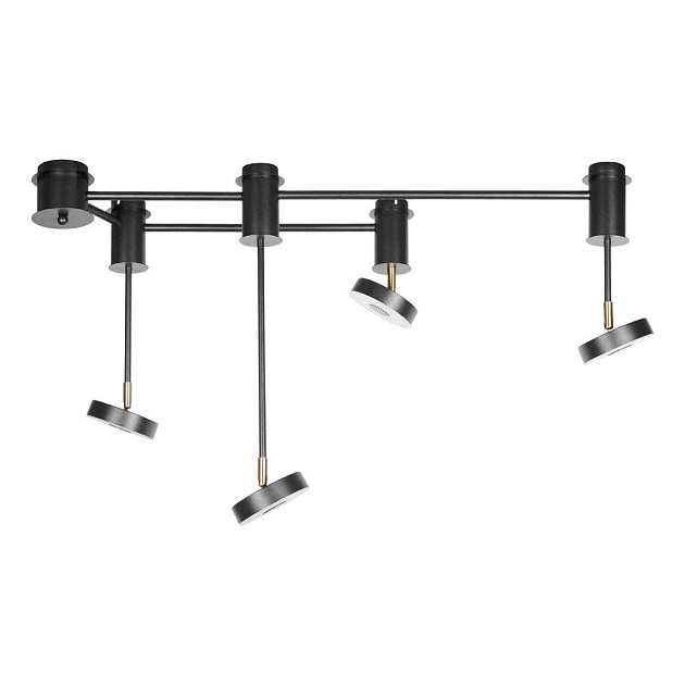 Потолочный светильник LOFT IT Flock 10189/1000 изображение 1 Потолочный светильник LOFT IT Flock 10189/1000 Фото № 1