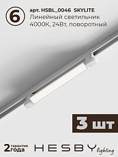 Встраиваемая однофазная трековая система Hesby Lighting Skylite №1 со светильниками HSBL_kompl_S001_VI3W4K_01 1