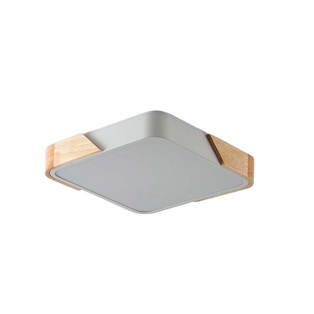 Потолочный светильник Zortes ALBERRO ZRS.01285.48 изображение 1 Потолочный светильник Zortes ALBERRO ZRS.01285.48 Фото № 1