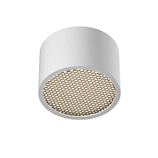 Потолочный светильник Maytoni Technical C122CL-GX53-W