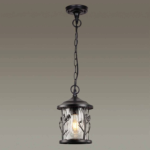 Уличный подвесной светильник Odeon Light Nature Cuita 4963/1 Фото № 4