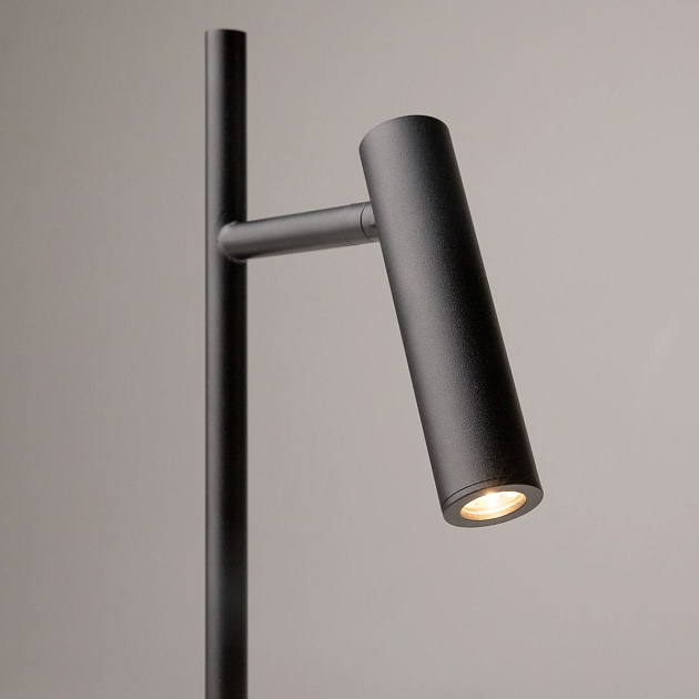 Торшер Maytoni Estudo Z010FL-L8B3K изображение 5 Торшер Maytoni Estudo Z010FL-L8B3K Фото № 5