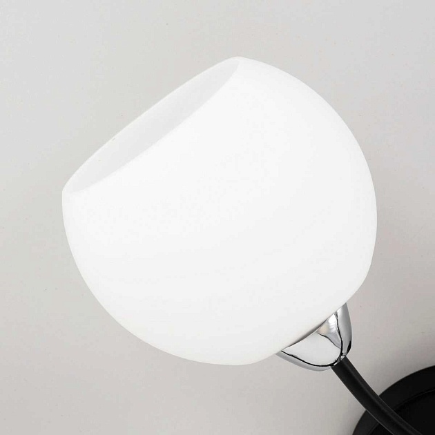 Потолочная люстра Citilux Флорида CL148165 Фото № 5