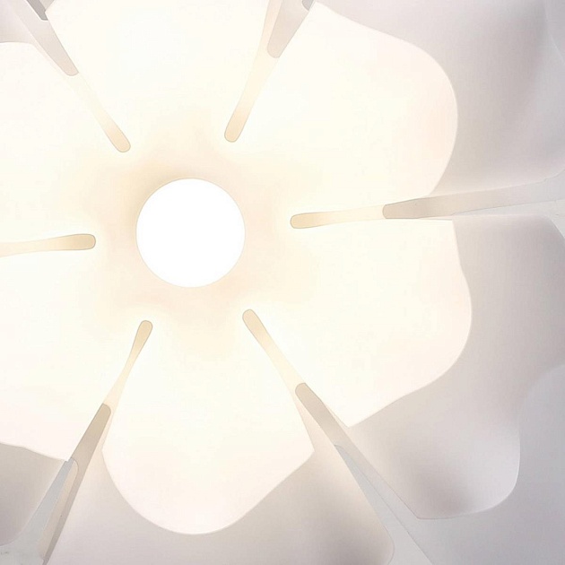 Подвесная люстра Lightera Chad LE116L-60W Фото № 13