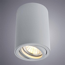 Потолочный светильник Arte Lamp A1560PL-1GY 1