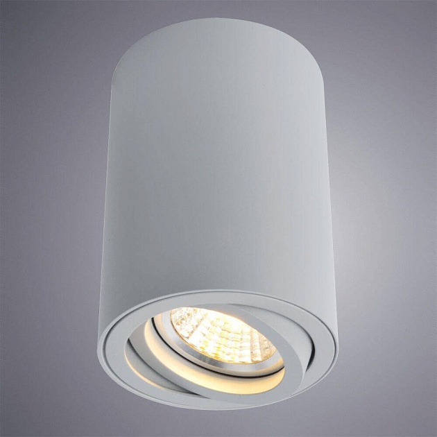 Потолочный светильник Arte Lamp A1560PL-1GY фото 2