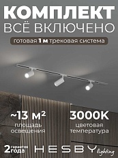 Встраиваемая однофазная трековая система Hesby Lighting Skylite №3 со светильниками HSBL_kompl_S003_VI1W3K