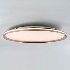 Потолочный cветильник LED4U L3020-600 GD 5