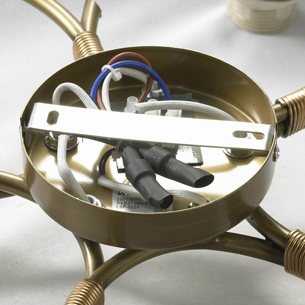 Потолочная люстра Lussole Lgo LSP-0223 Фото № 6