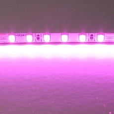 Светодиодная лента Lightstar 12W/m 120LED/m розовый 5M 420512 1