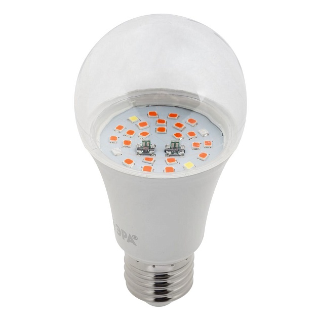 Лампа светодиодная для растений ЭРА E27 10W 1310K прозрачная Fito-10W-RB-E27 Б0050600 фото 5