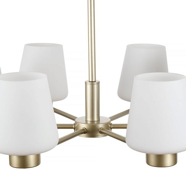 Подвесная люстра MyFar Mark MR2341-6P изображение 4 Подвесная люстра MyFar Mark MR2341-6P Фото № 4