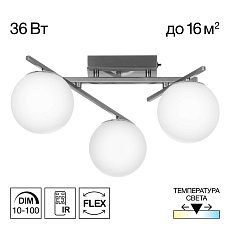 Потолочная светодиодная люстра Citilux Dorsy CL223131