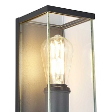 Уличный настенный светильник ST Luce Gross SL9019.701.01 3