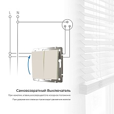 Выключатель двухклавишный с самовозвратом Werkel слоновая кость W1122403 4690389192326 2