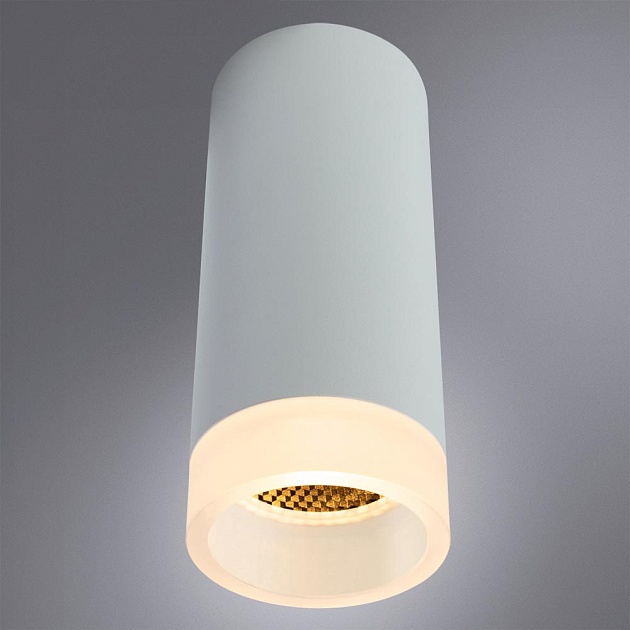Потолочный светильник Arte Lamp Ogma A5556PL-1WH фото 4