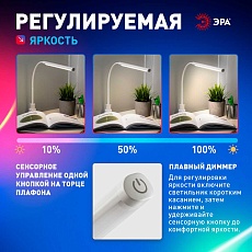 Настольная лампа ЭРА NLED-509-8W-W Б0059841 1