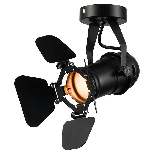 Спот Lussole Loft Expression GRLSP-9838 Фото № 1