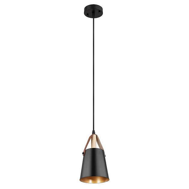 Подвесной светильник Arte Lamp THOMAS A7032SP-1BK Фото № 1