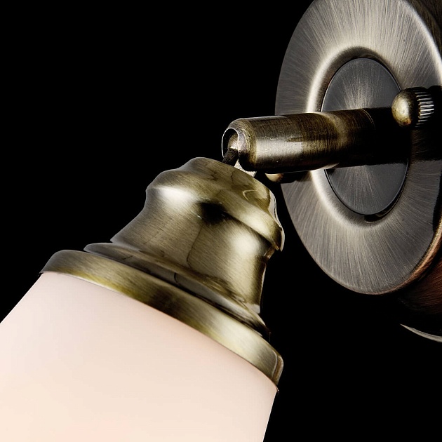 Спот Freya Jasinta FR2272-WL-01-BS Фото № 7