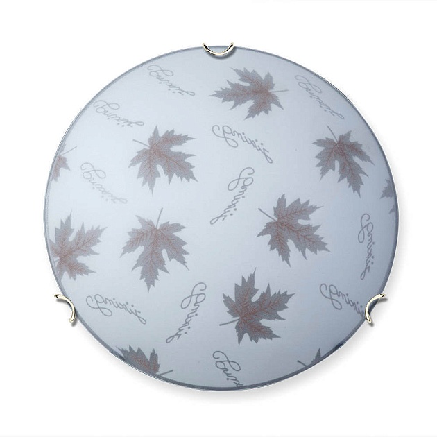 Настенно-потолочный светильник Vitaluce V6285/2A изображение 1 Настенно-потолочный светильник Vitaluce V6285/2A Фото № 1