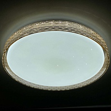 Потолочный светодиодный светильник Profit Light 2095/450 WH+GD 2