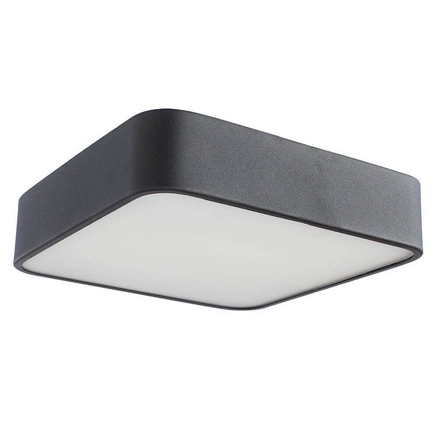 Потолочный светильник Arte Lamp Cosmopolitan A7210PL-2BK Фото № 1