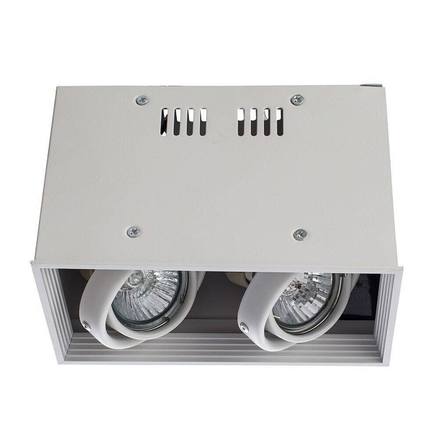 Потолочный светильник Arte Lamp Cardani A5942PL-2WH Фото № 3