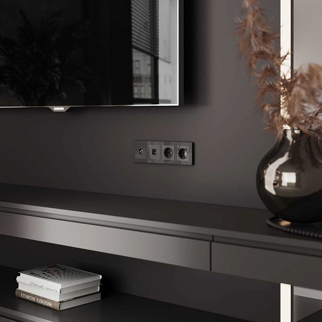 ТВ-розетка Werkel оконечная графит акрил W1183044 4690389197550 изображение 2 ТВ-розетка Werkel оконечная графит акрил W1183044 4690389197550 Фото № 2