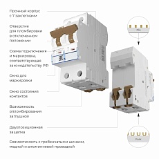 Автоматический выключатель Werkel 2P 25А C 4,5кА W902P254 4690389192708 1
