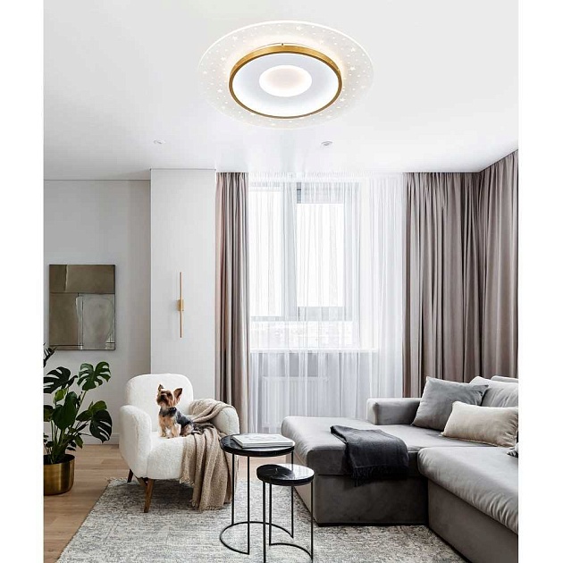 Потолочный cветильник LED4U L1027-500 WH-GD Фото № 2