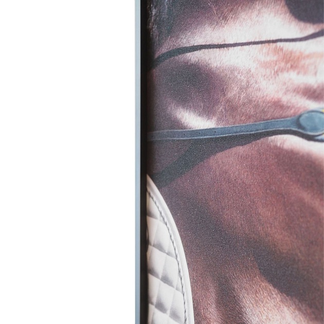 Картина Lumina Deco FP Horse 80-120 Фото № 3