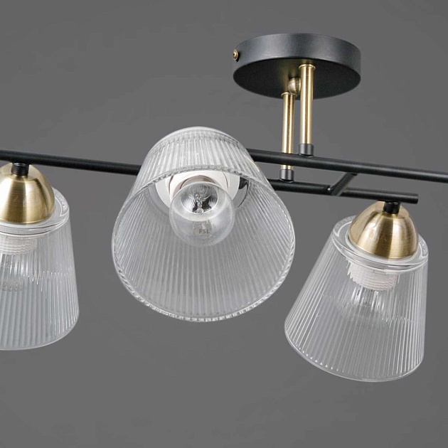 Люстра Illumico IL0845-4CSQ-25BKAB ELITE изображение 2 Люстра Illumico IL0845-4CSQ-25BKAB ELITE Фото № 2