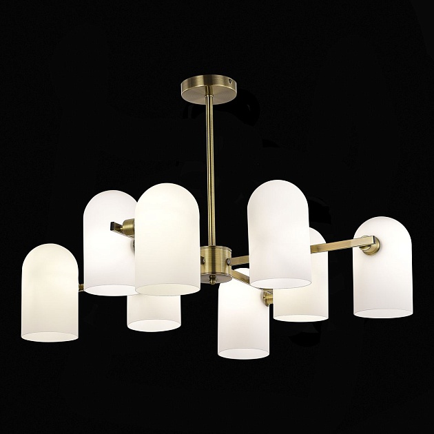 Подвесная люстра Evoluce Nobilia SLE1047-302-08 Фото № 4