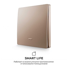 Выключатель кинетический одноклавишный Smart Apeyron 04-75 2