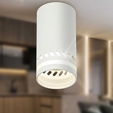Настенно-потолочный светильник ЭРА OL50 WH Б0059802 3