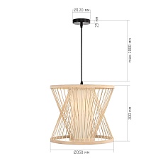 Подвесной светильник ST Luce ALMA SL6241.503.01 4