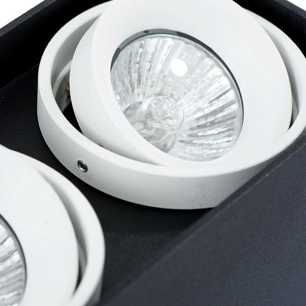 Потолочный светильник Arte Lamp A5655PL-2BK изображение 4 Потолочный светильник Arte Lamp A5655PL-2BK Фото № 4